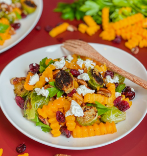 Autumn Harvest Butternut Squash Rotini thumbnail